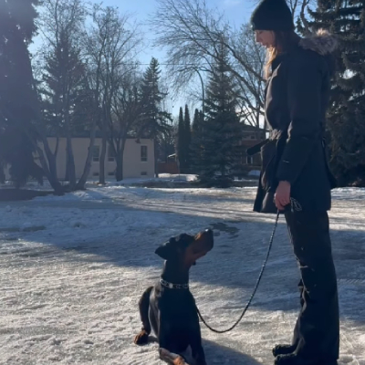 Furbabysitter client pet